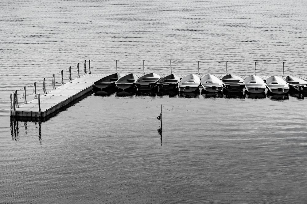 Photograph by Илья Борзенков