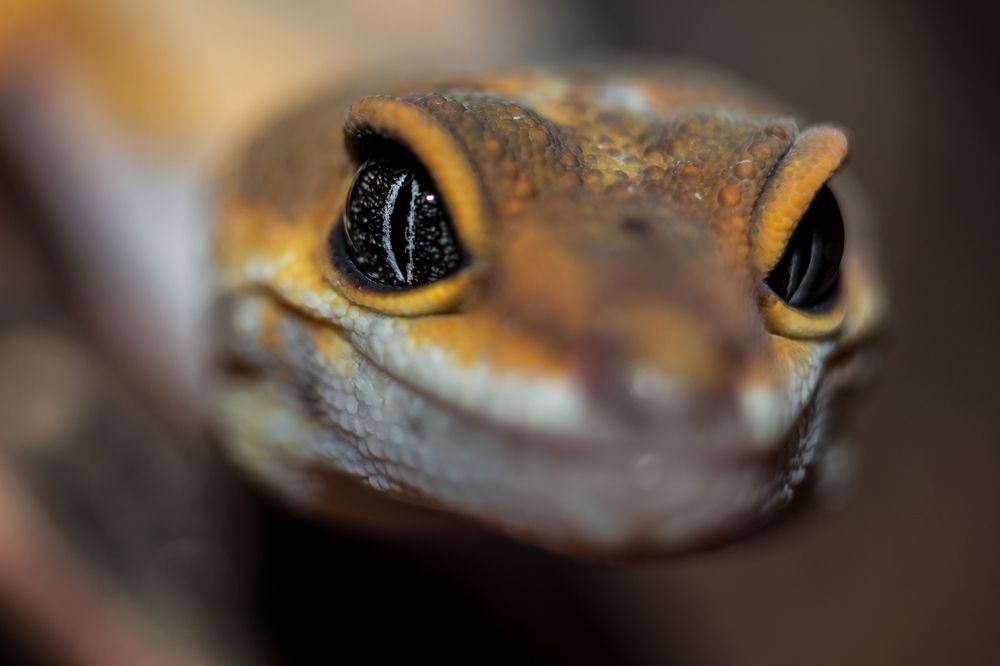 Целый космос в твоих глазах