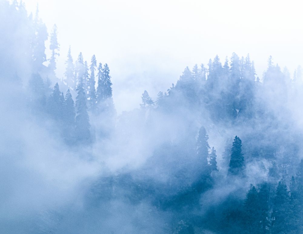 Photograph by Bondhu Dey