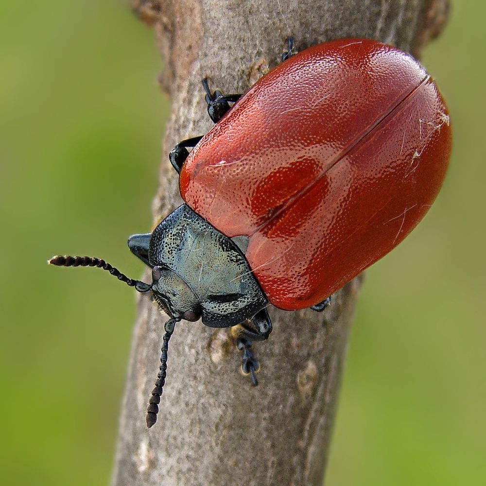 Photograph by Павел Колеснев