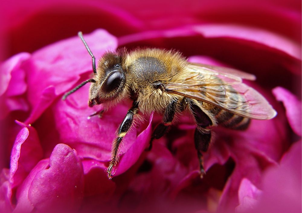 Photograph by Павел Колеснев