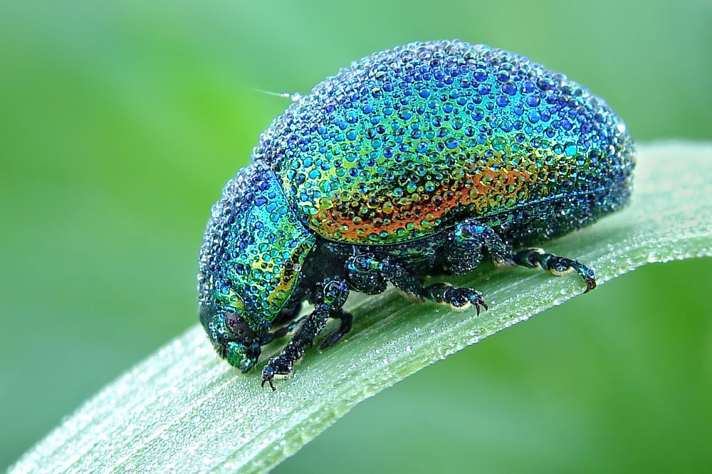 Photograph by Павел Колеснев