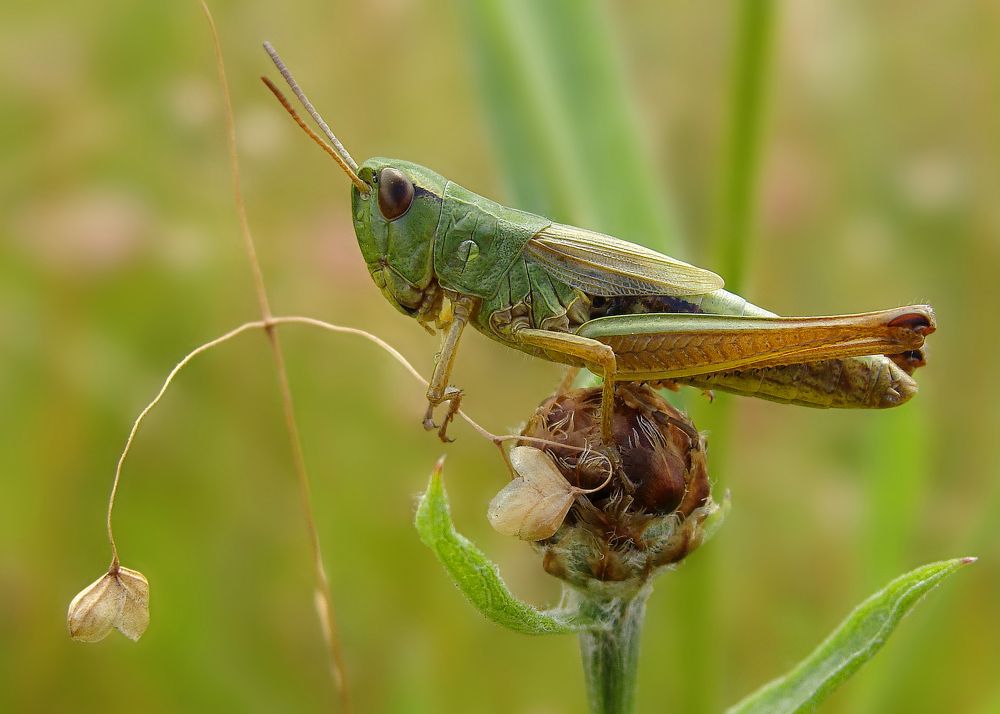 Photograph by Павел Колеснев