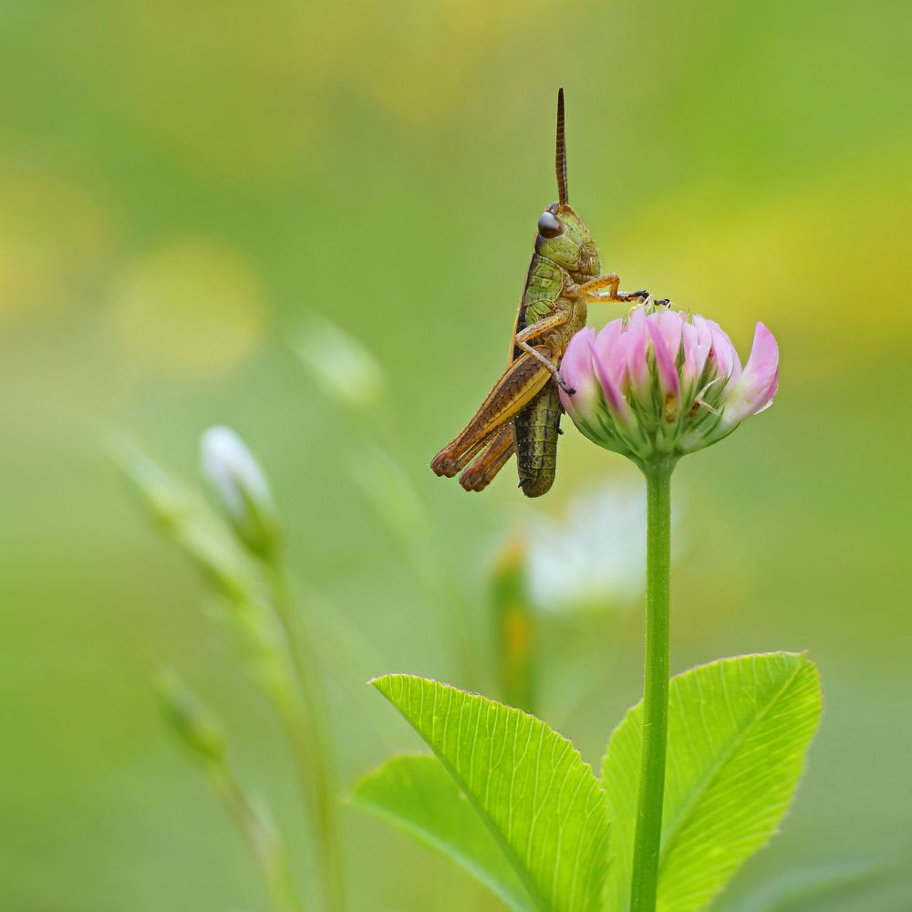 Photograph by Павел Колеснев