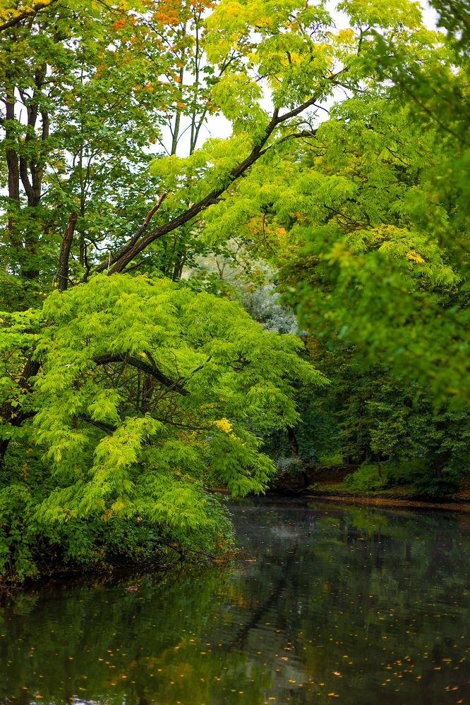 Photograph by Chic.chiquitita