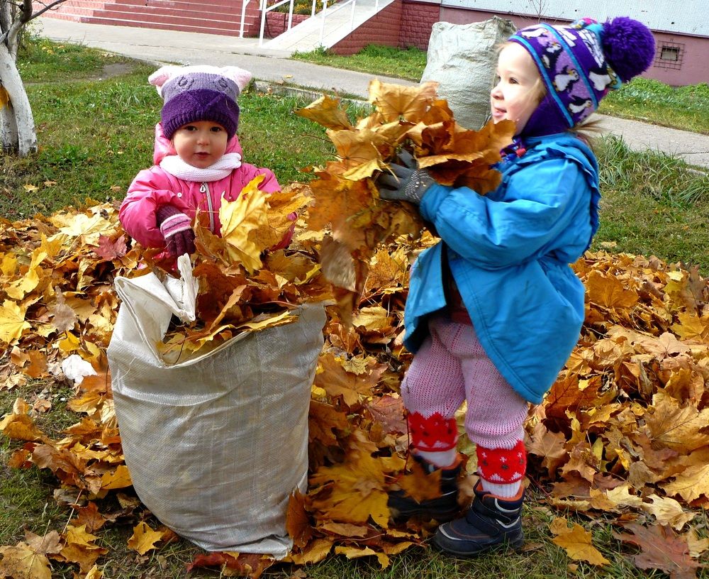 Photograph by леонид натапов