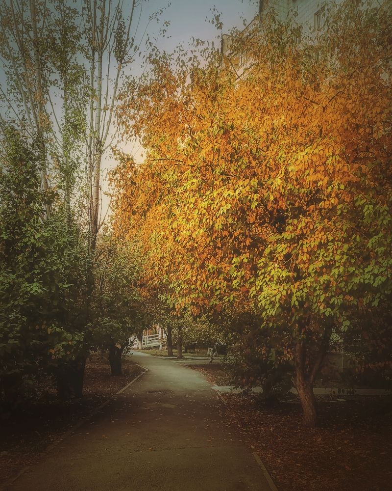 Photograph by Наталья Ефимова