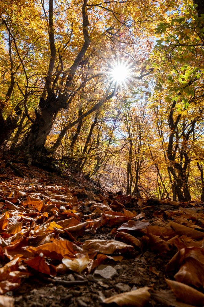 Photograph by Юрий Чернов