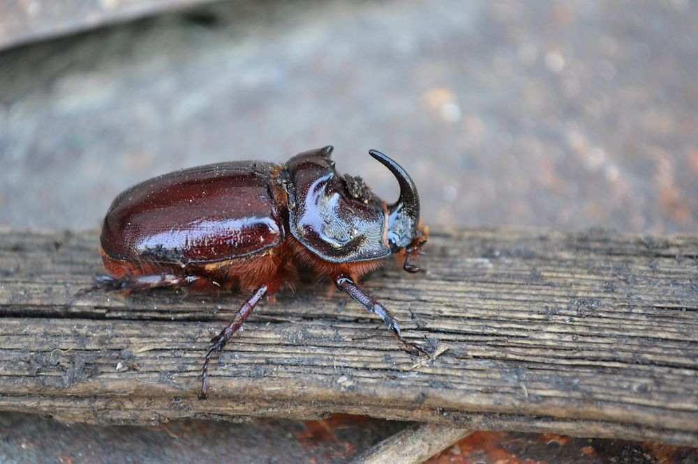 Photograph by Марина Магадиева