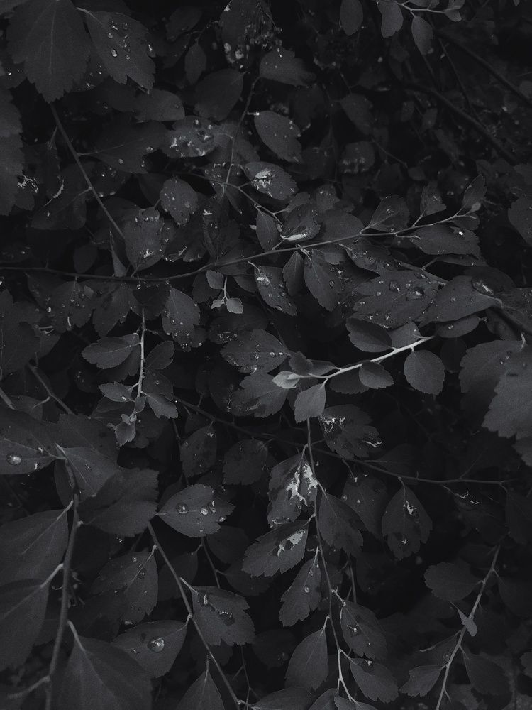 Photograph by Olga Gorokhova