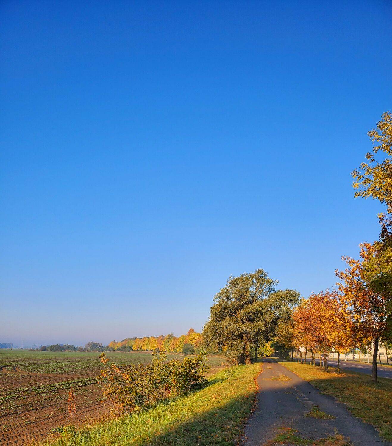 Photo #8113838