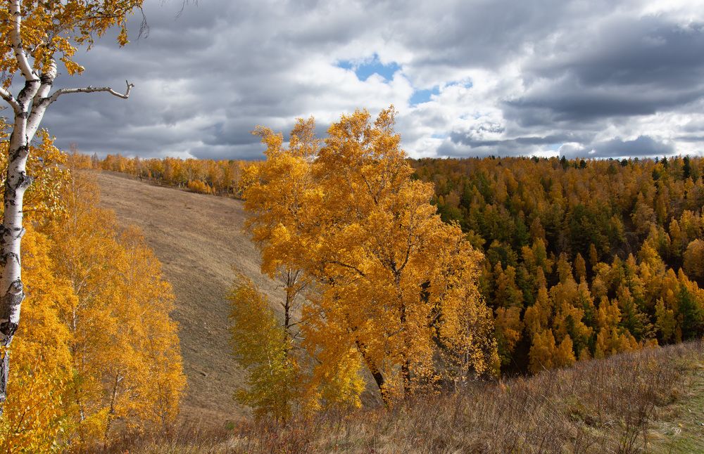 Photograph by Олег Маменко