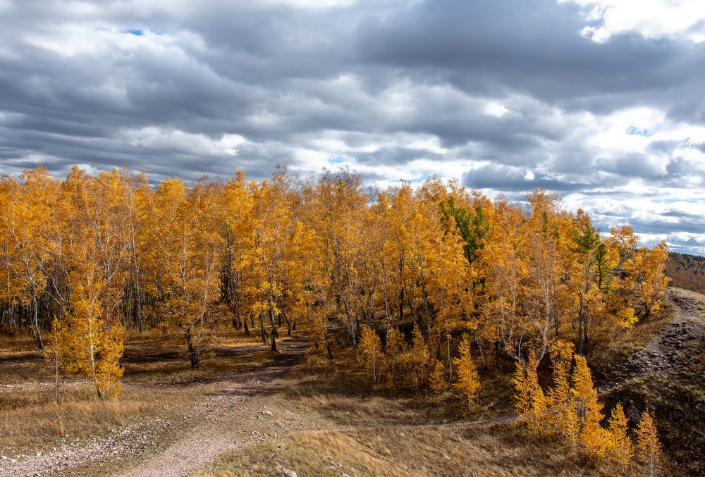 Огненная осень.