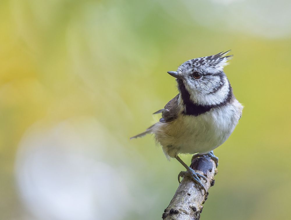Photograph by Алексей Зайцев