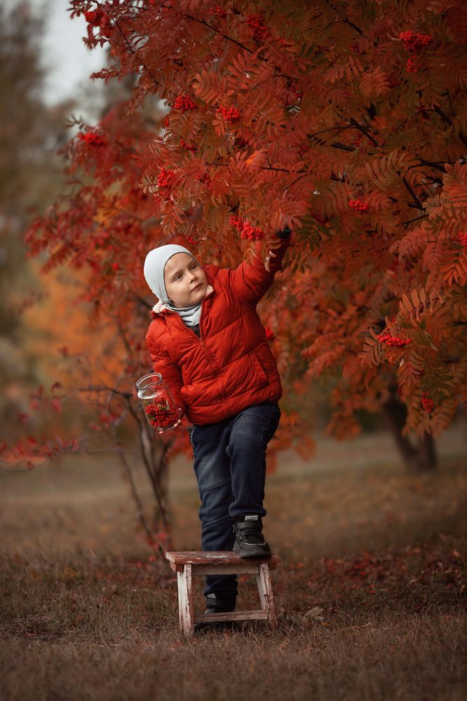 Photograph by Корнеева Ксю