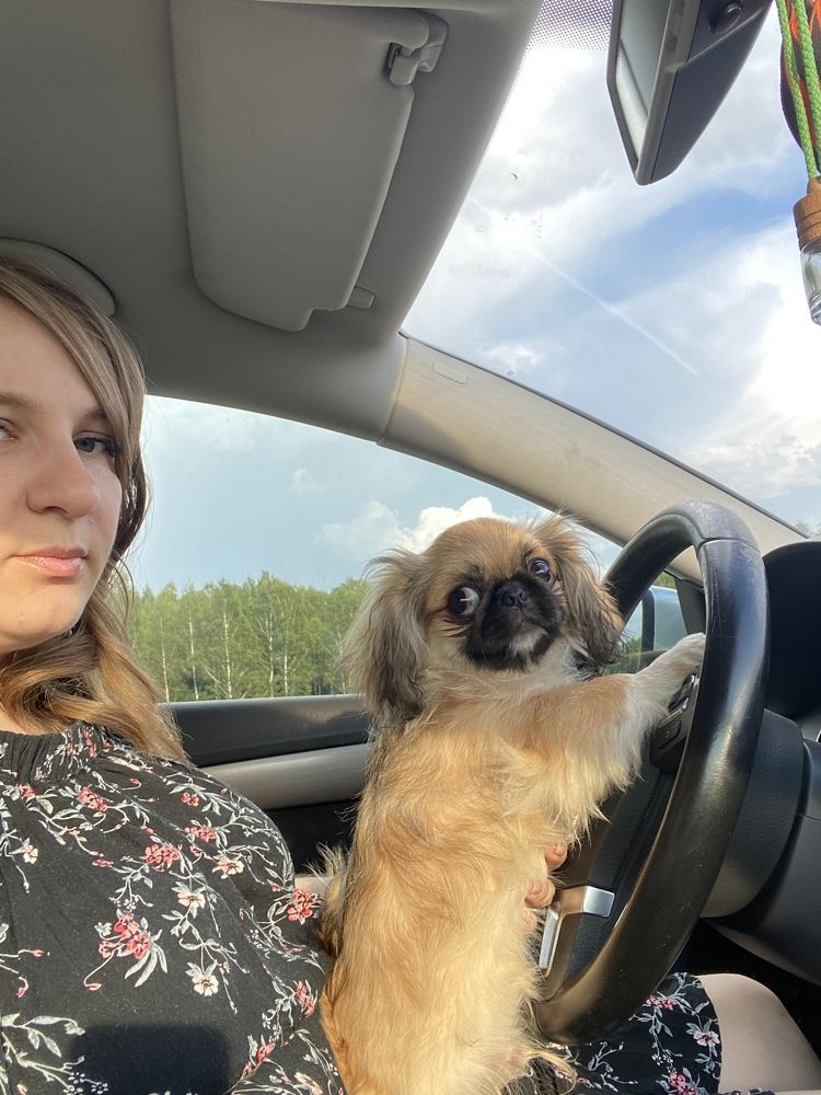 Photograph by Яна Лугинина