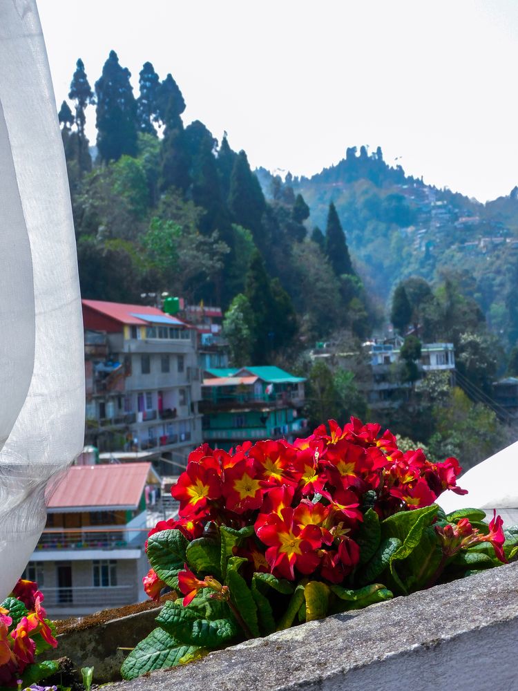 Фотография автора PURBALI KAR