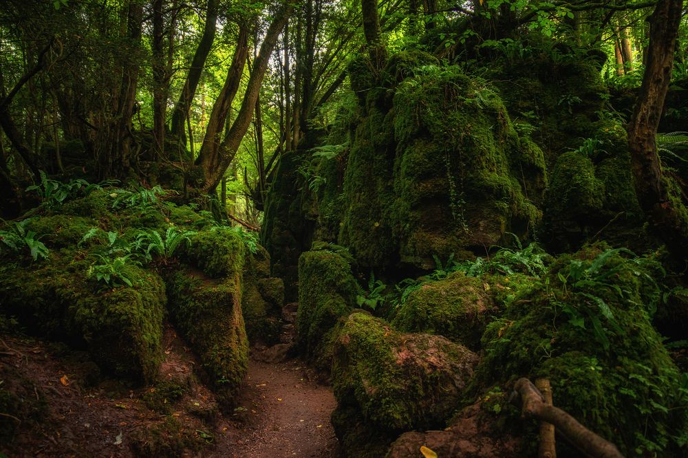 Photograph by Dace Spalviņa