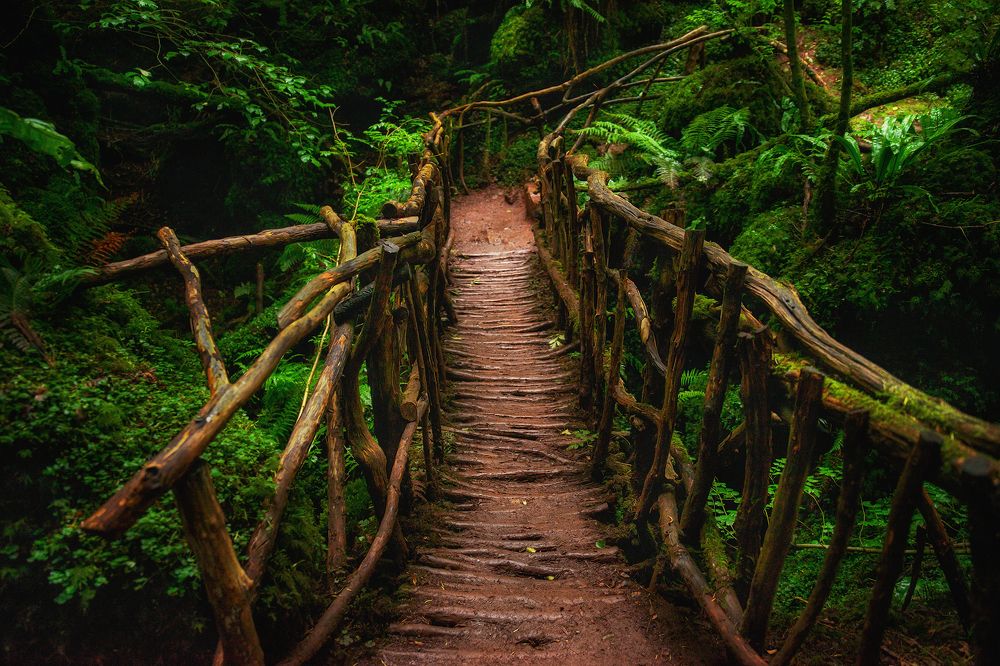 Photograph by Dace Spalviņa