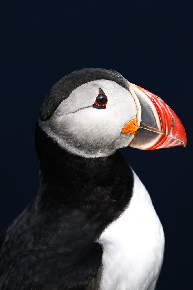 Photograph by Yaniv Abramovitz