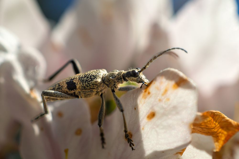 Photograph by Dace Spalviņa