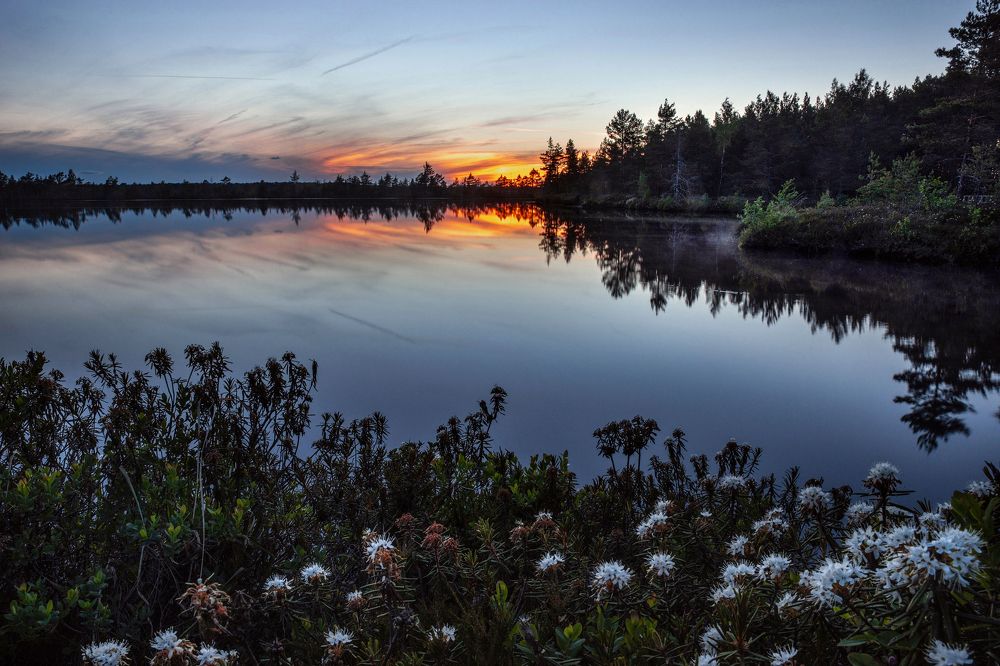 Photograph by Dace Spalviņa