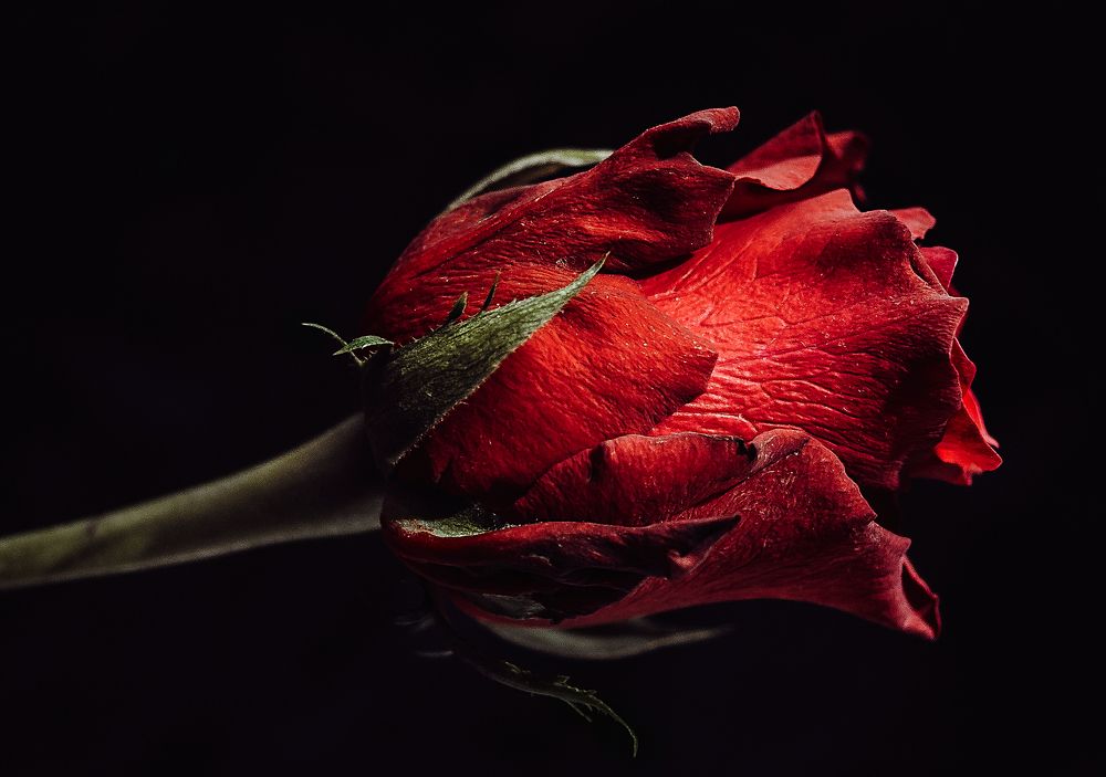 Photograph by Dace Spalviņa