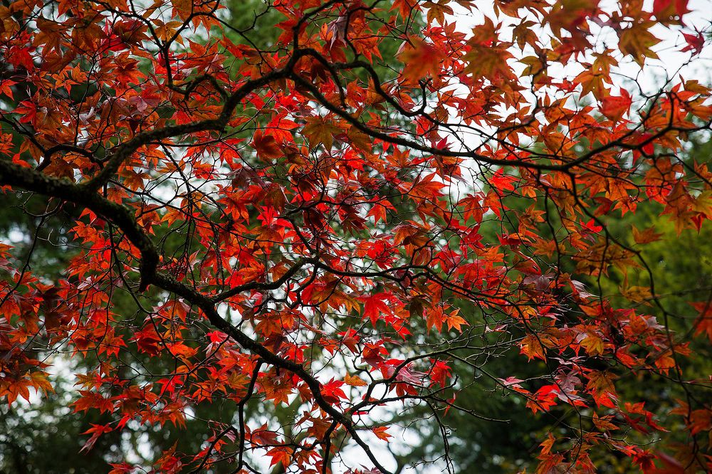 Photograph by Dace Spalviņa