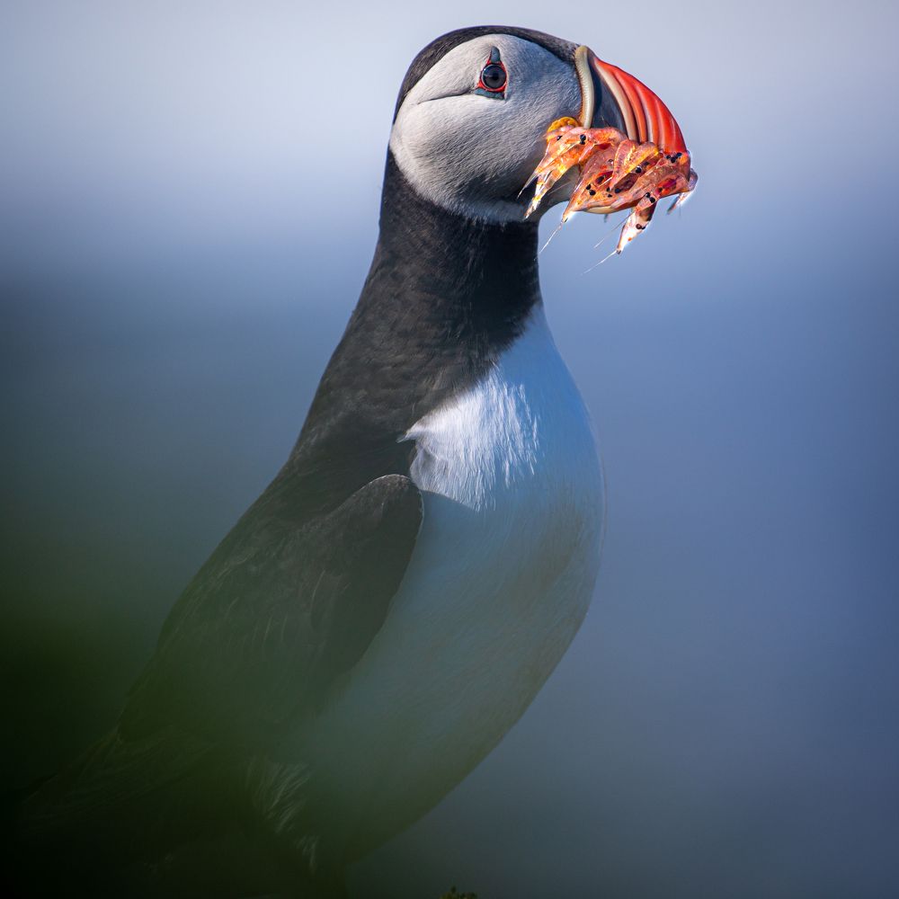 Photograph by Yaniv Abramovitz