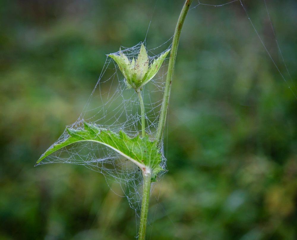 Photograph by Ольга Сафронова