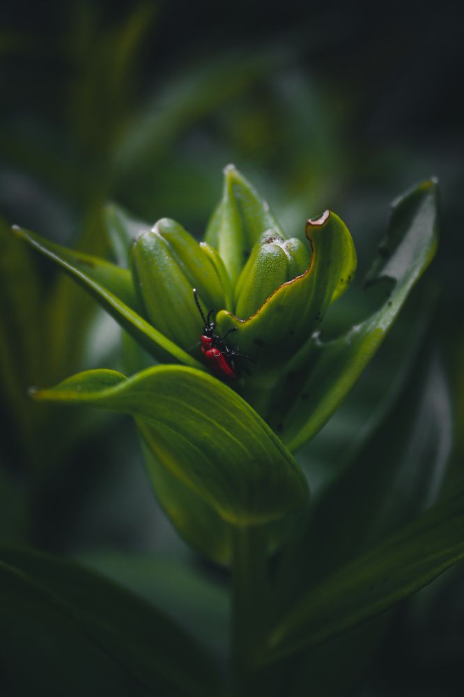 Photograph by Кристина Полякова