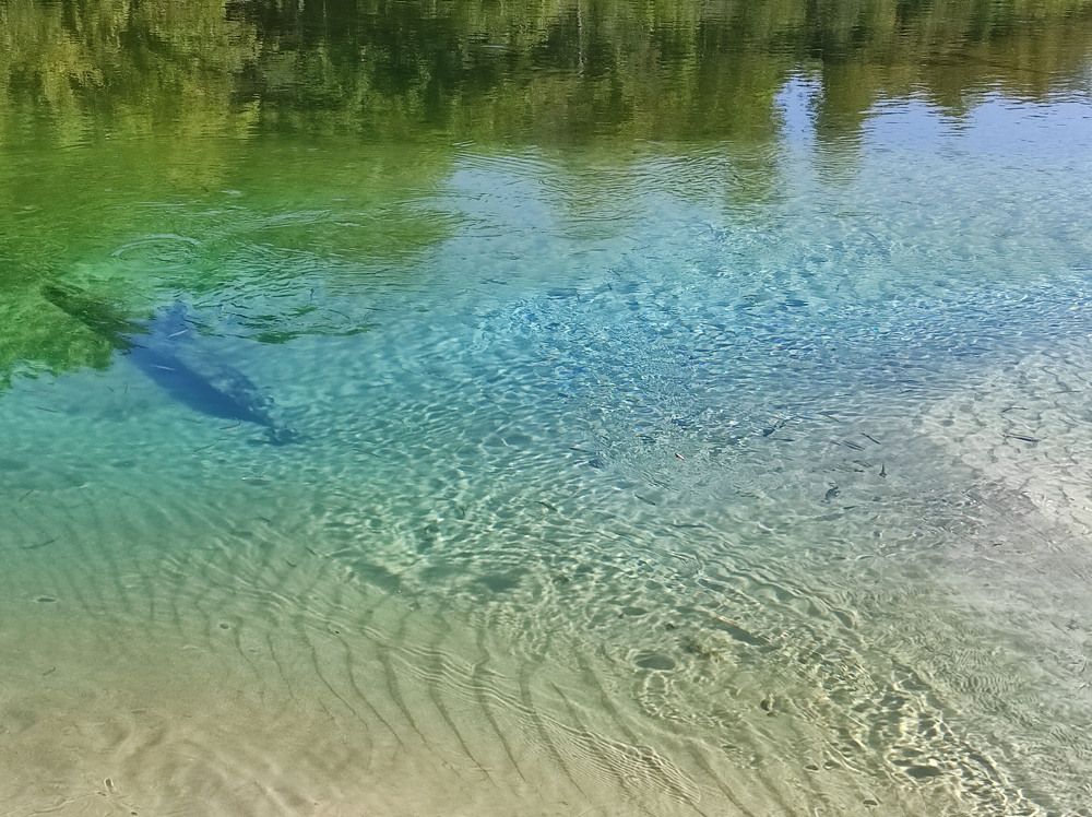 Photograph by Наталия Васильева