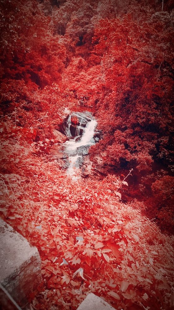 Photograph by Lakshmi priya