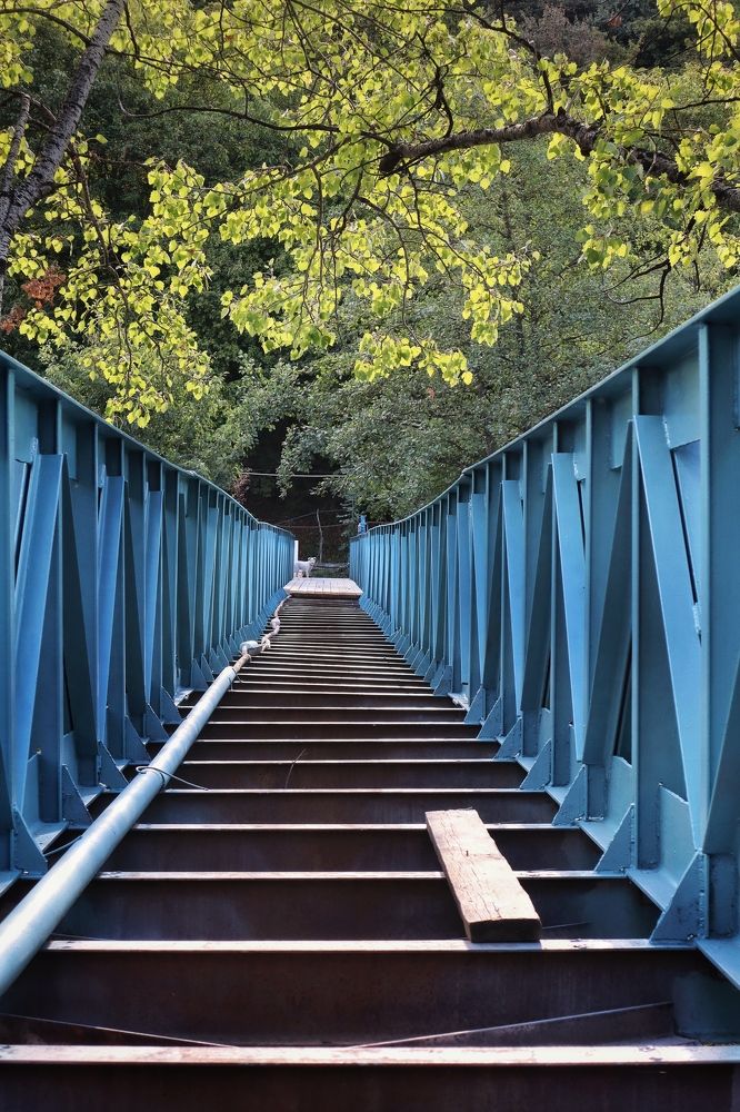 Photograph by Людмила Евстратова