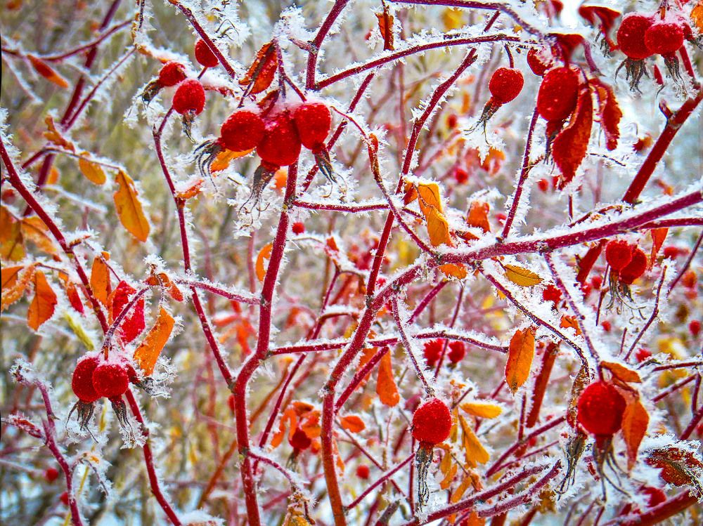 Photograph by Нина Будникова