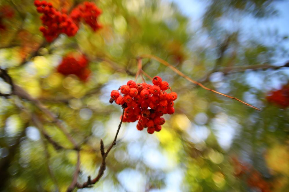 Photograph by Игорь Кад