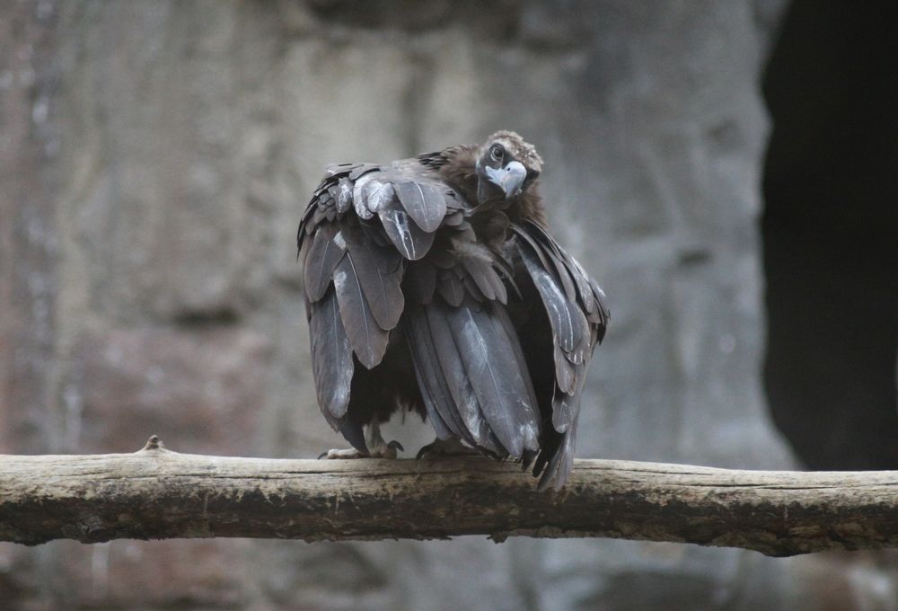 Photograph by Юлия Зеляник
