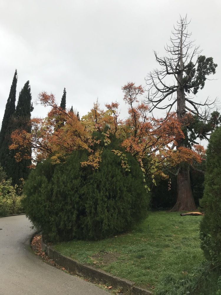 Photograph by Светлана Фесенко