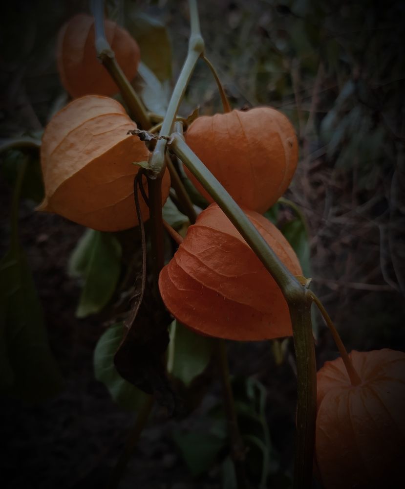 Photograph by Ирина Половцева