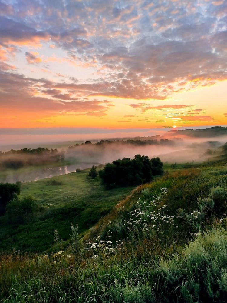 Photograph by Наталья