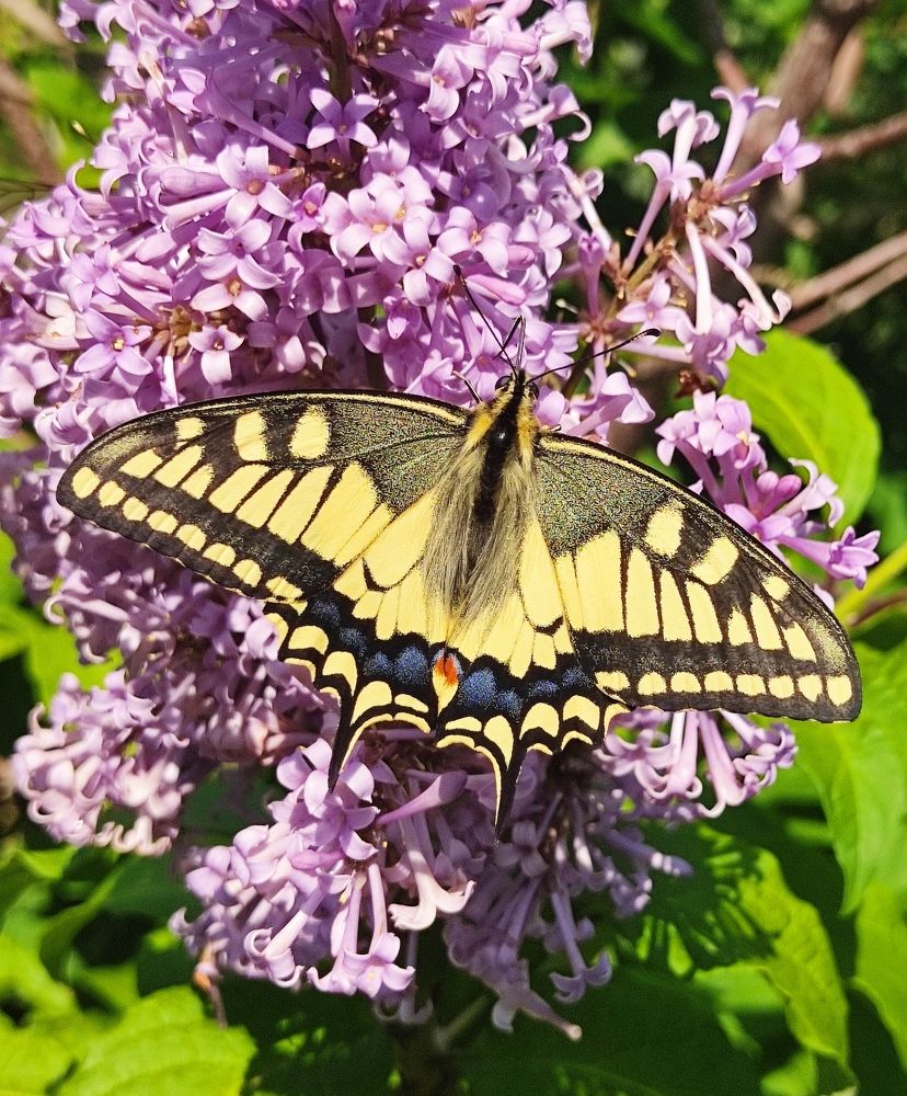 Photograph by Наталья