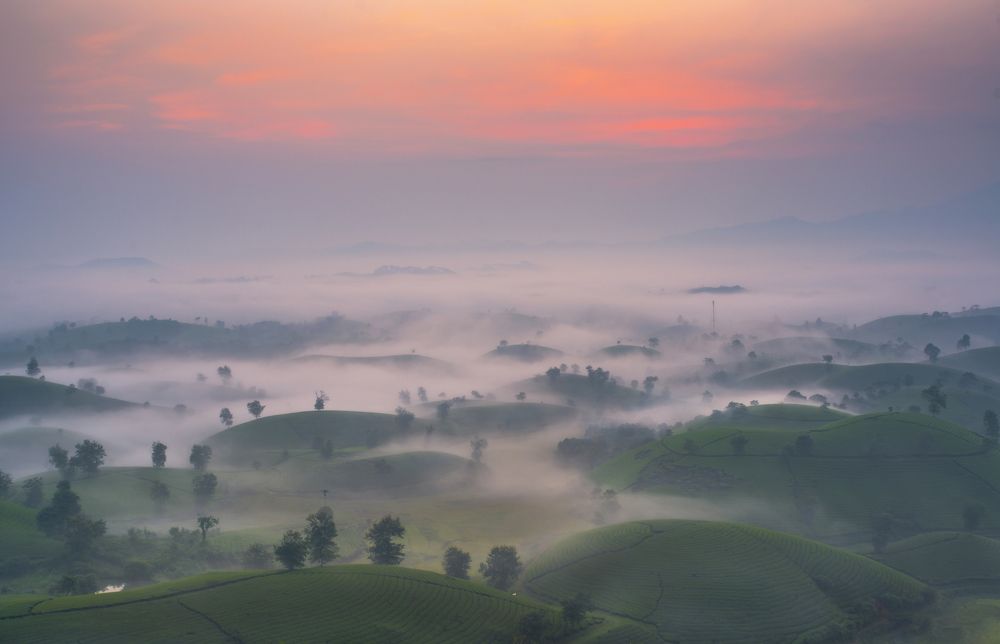 Photograph by Trần Anh Tuấn