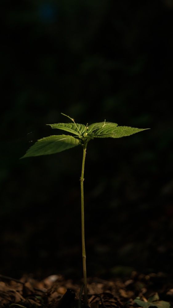 Photograph by Валерия Дорогова