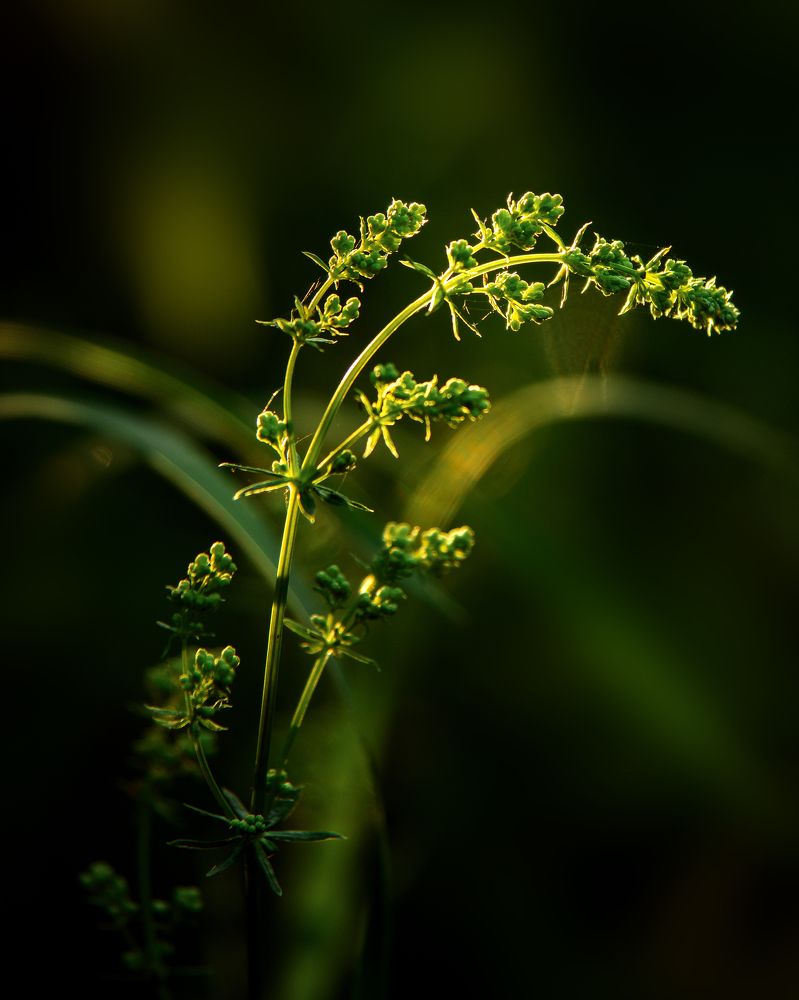 Photograph by Валерия Дорогова