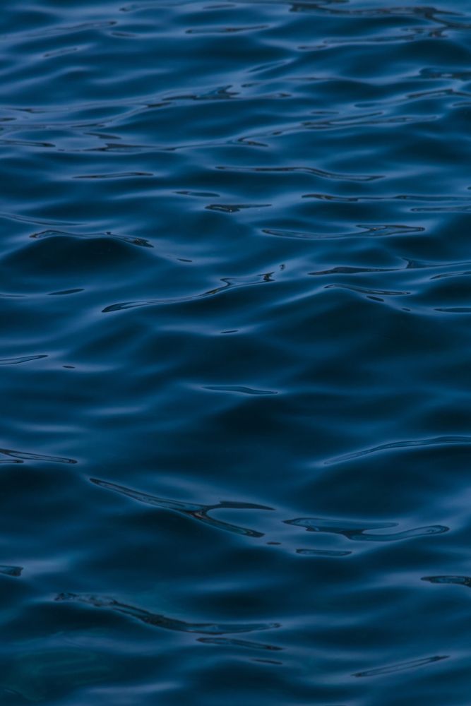 Photograph by Елизавета Калинина