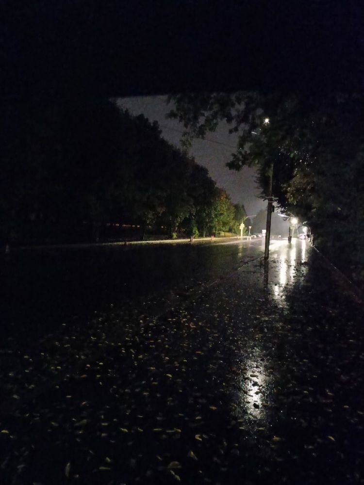 Осень началась...