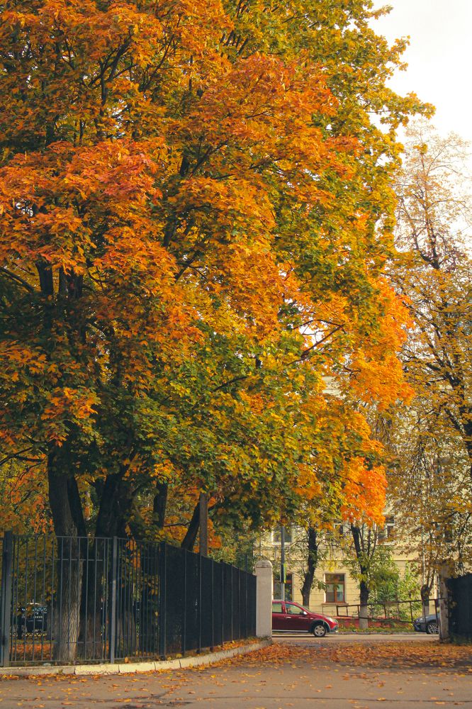 Photograph by Елена Лотник