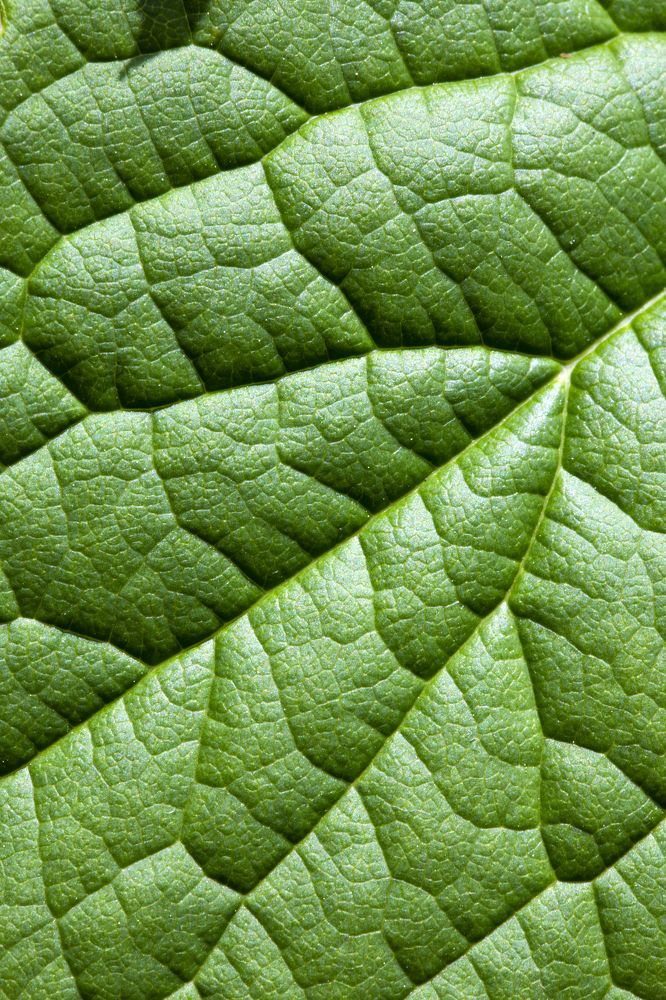 Photograph by Valeria Malinkina