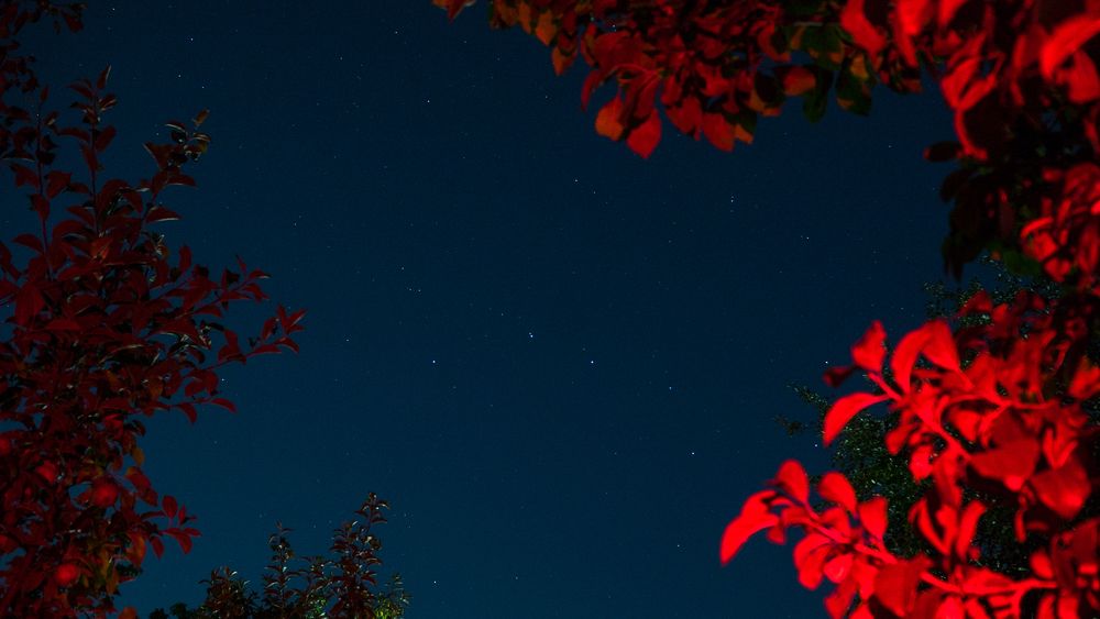 Photograph by Михаил Володин