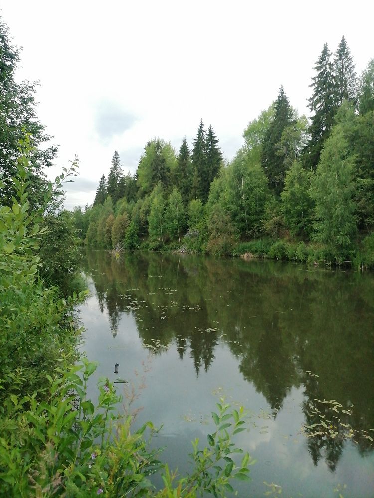 Photograph by Юлия Локалова